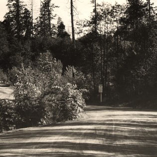 Intersection of Interlaken and Washington Park (later Lake Washington) boulevards, 1911. Photo by Webster & Stevens.
 Courtesy Seattle Municipal Archives, Item No. 29378.